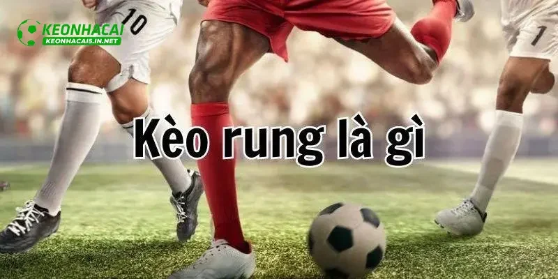 Kèo rung rất được lòng người chơi tại tỷ lệ kèo nhà cái